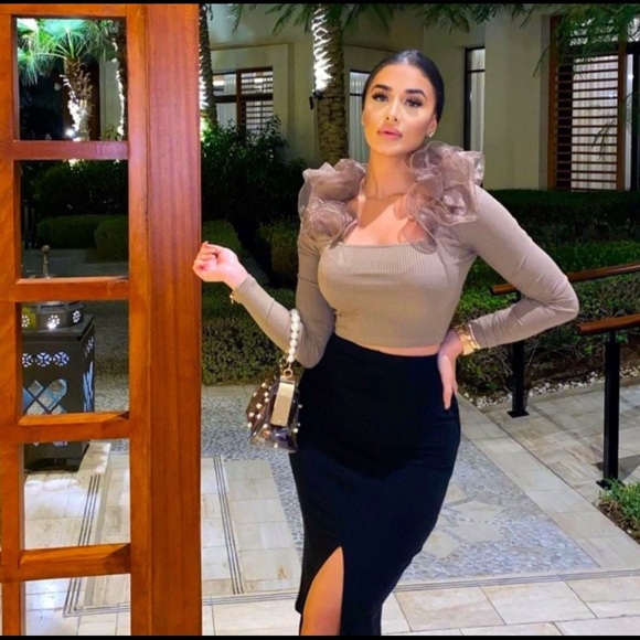 ZARA BROWN ORGANZA RUFFLE LONG SLEEVE TOP SIZE M - Picture 1 of 6